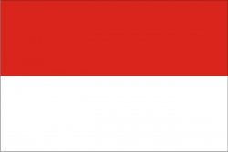 Товары из Индонезии